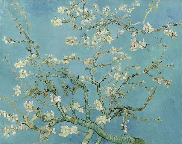 The Spring Equinox