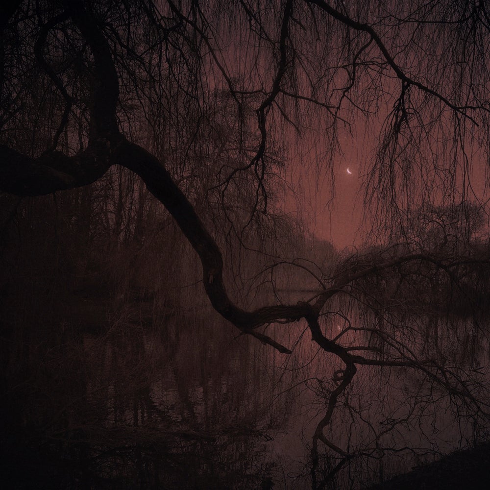 Nona Limmen