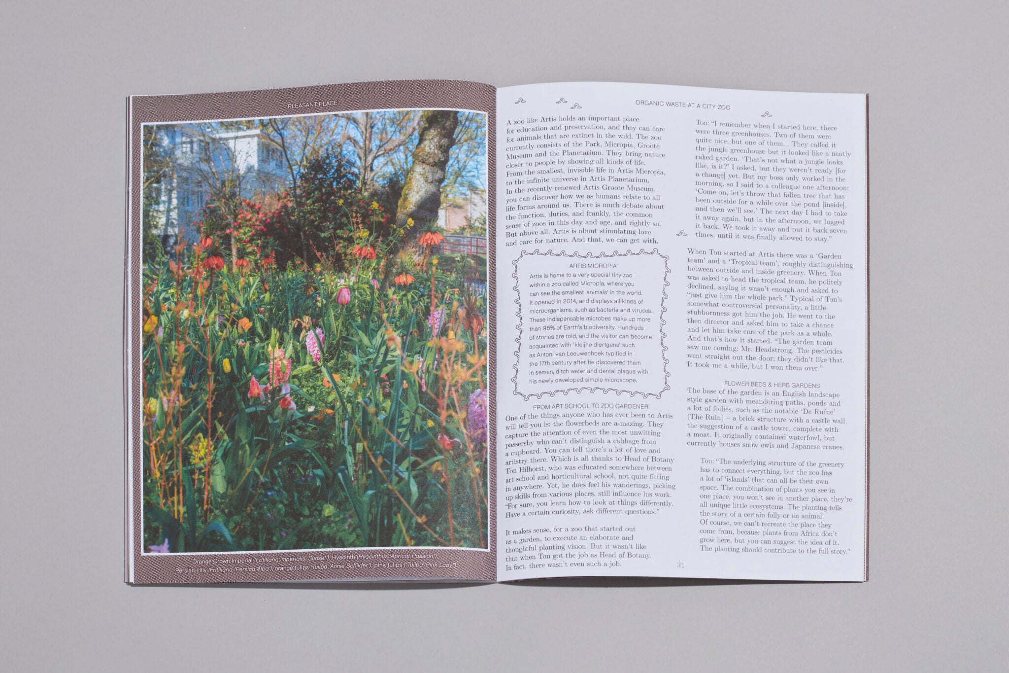 Pleasant Place Issue 3: Compost - Pleasant Place - Haus Nostromo