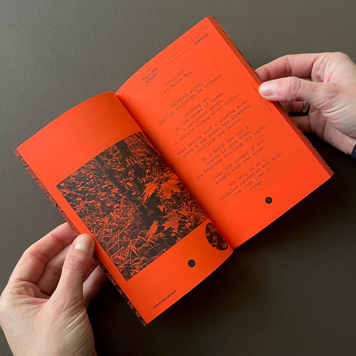 A Tree, A Reader on Arboreal Kinship