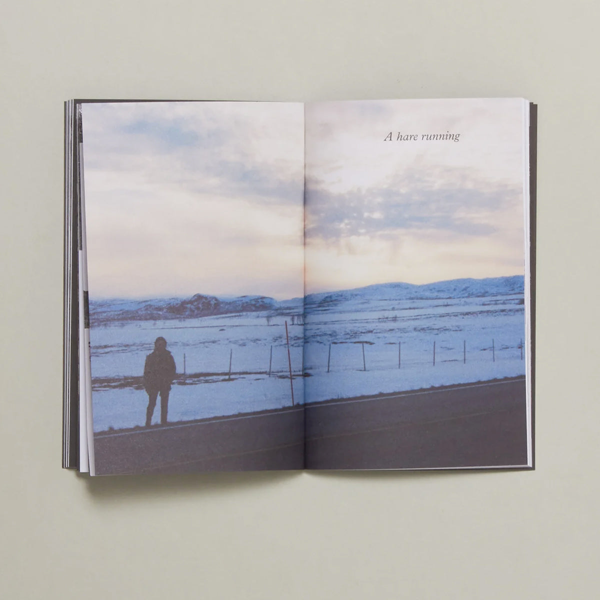 Becoming the Forest Issue V