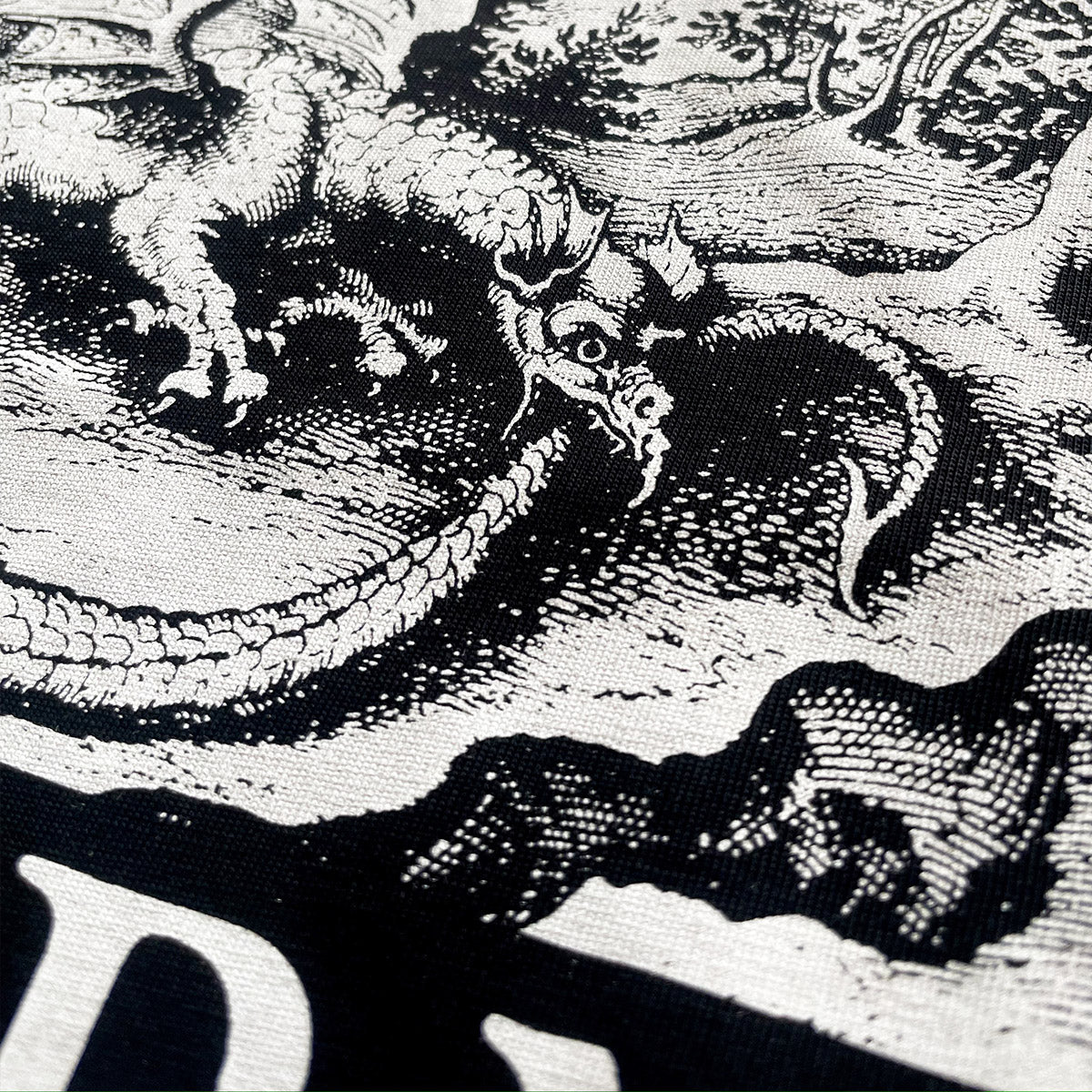 "Book Wyrm" T-Shirt