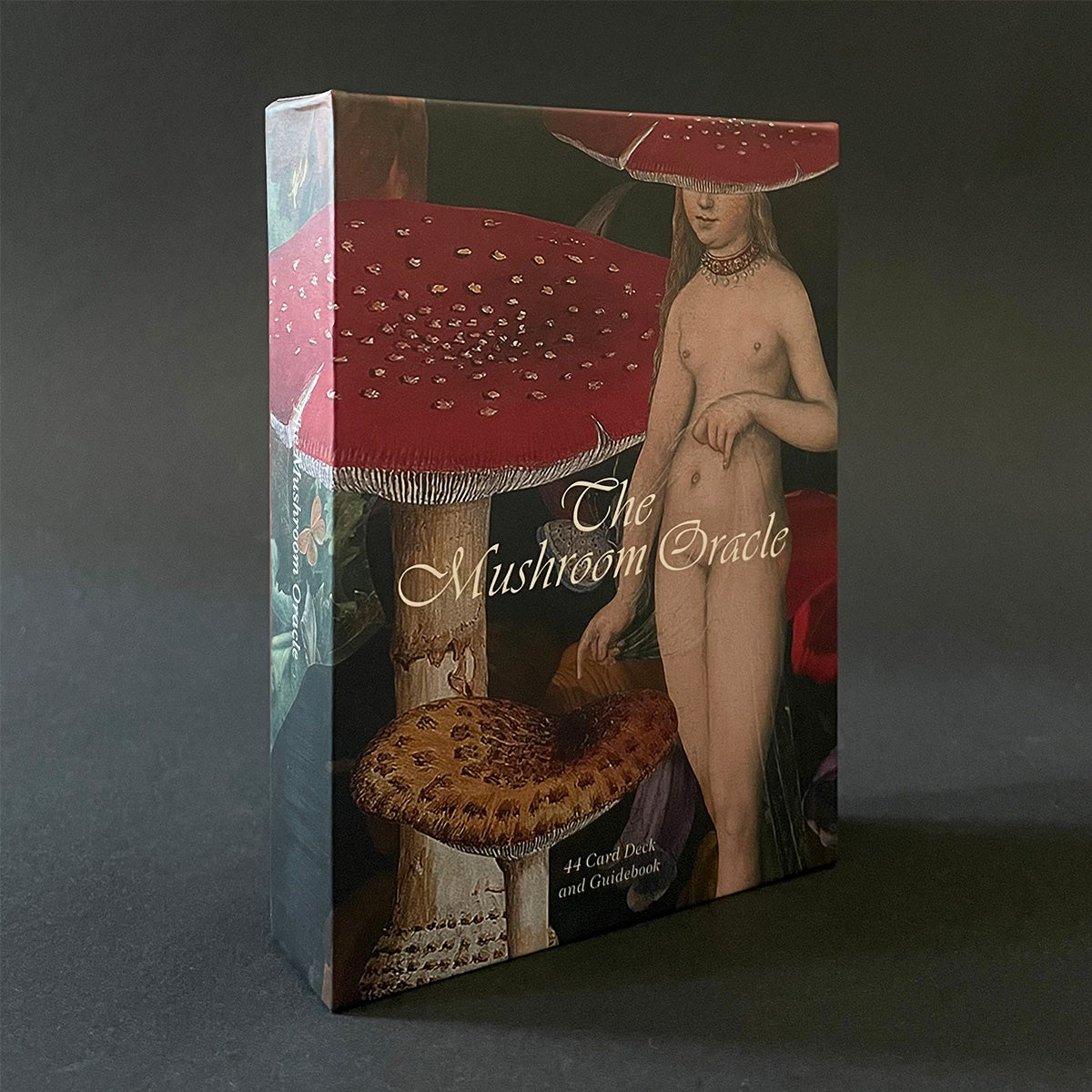 A box of 'The Mushroom Oracle' featuring vintage botanical illustrations with a figure in a forest setting. The box is colored and has text on it.