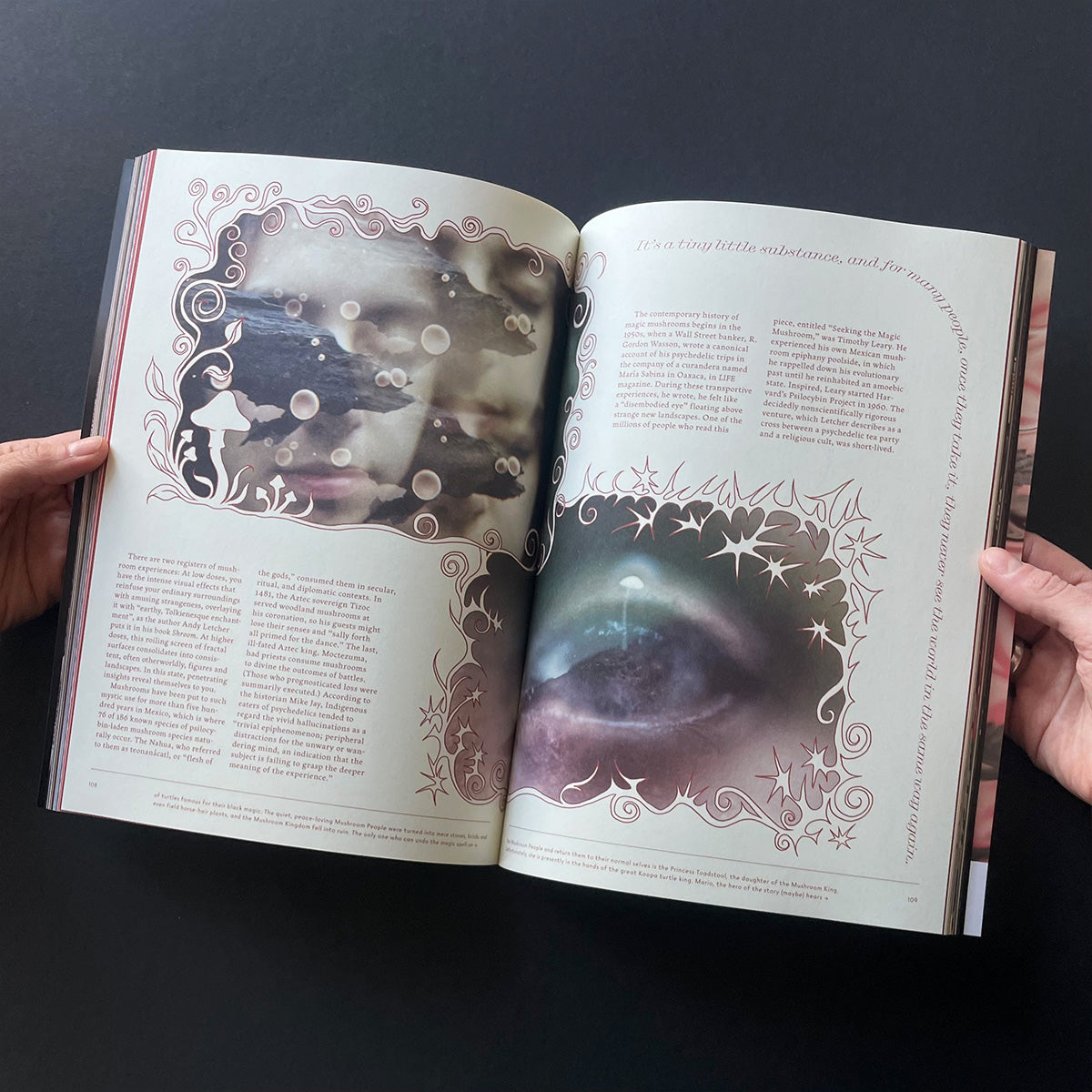 Mushroom People Magazine Volume One