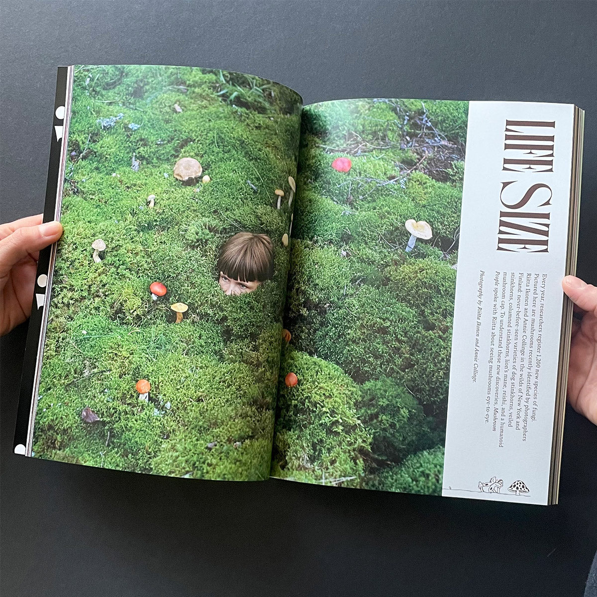 Mushroom People Magazine Volume Two