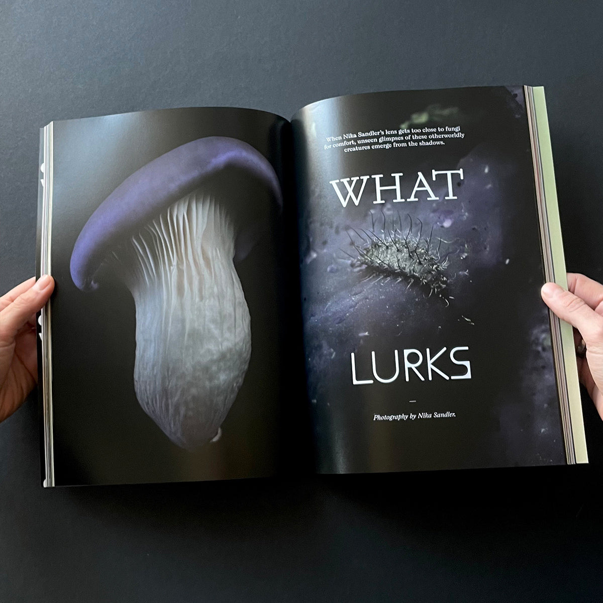 Mushroom People Magazine Volume Two - Broccoli - Haus Nostromo