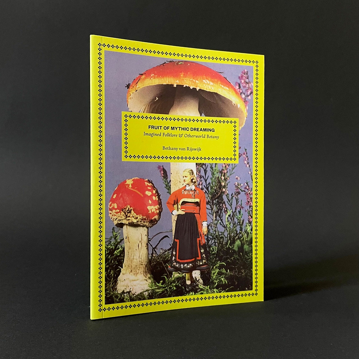 Book cover with illustration of a person and mushrooms on a dark background