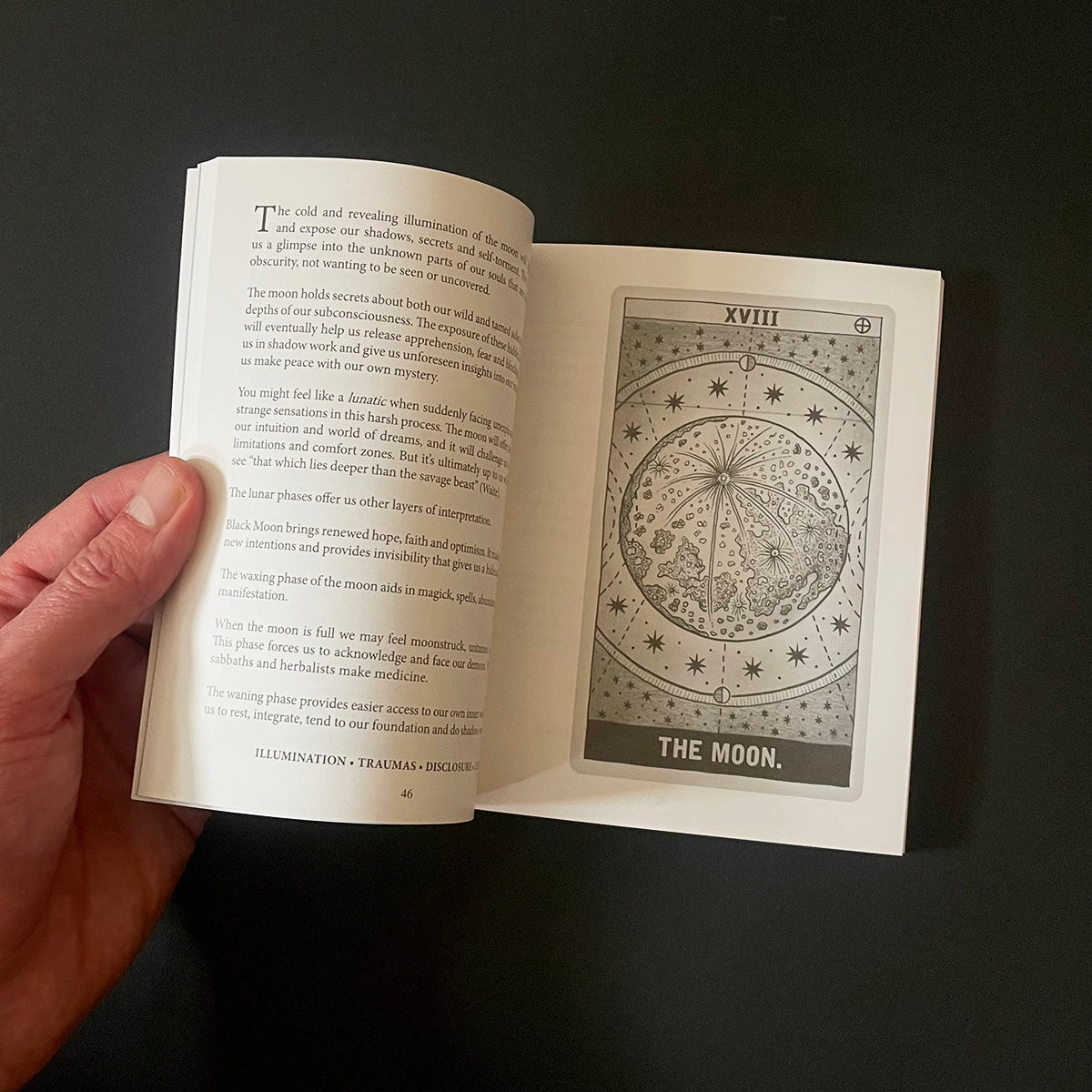 Earth Magick Tarot Guide Book