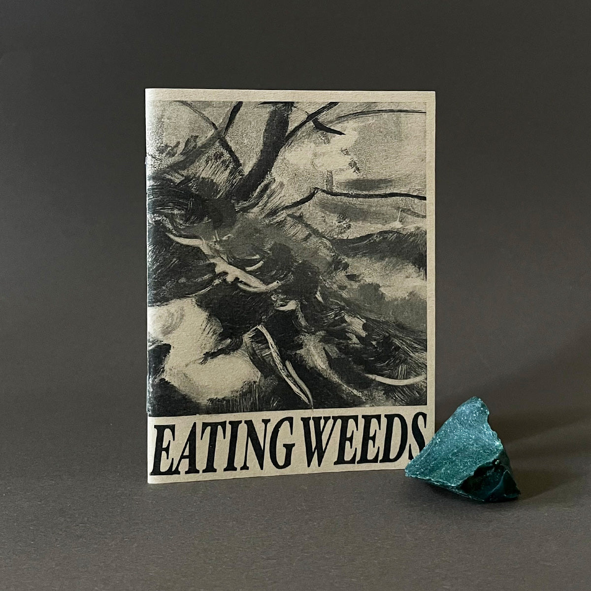 Eating Weeds Zine - Hanna Matthews - Haus Nostromo