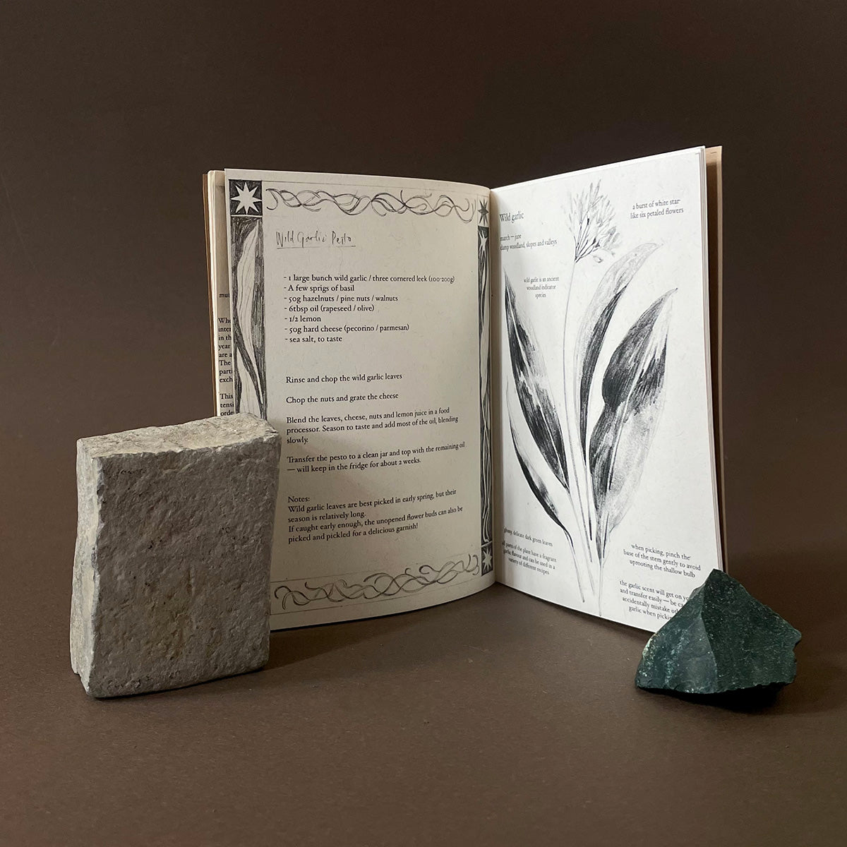Eating Weeds Zine - Hanna Matthews - Haus Nostromo