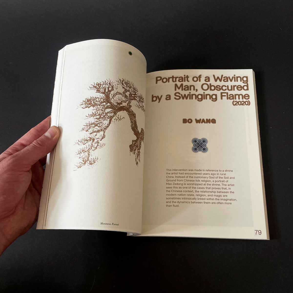 Enfleshed - Ecologies of Entities and Beings