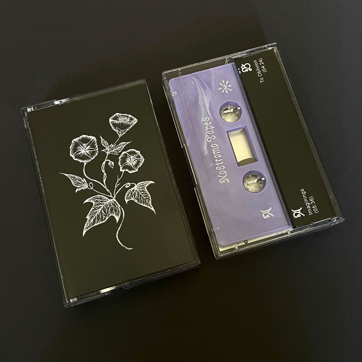 Imaginings / To Oblivion Cassette Tape - Esben And The Witch - Haus Nostromo