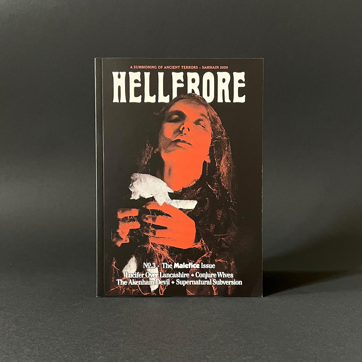 Book titled 'HELLFRORE' with a dark cover featuring a person holding a white object on a gray background