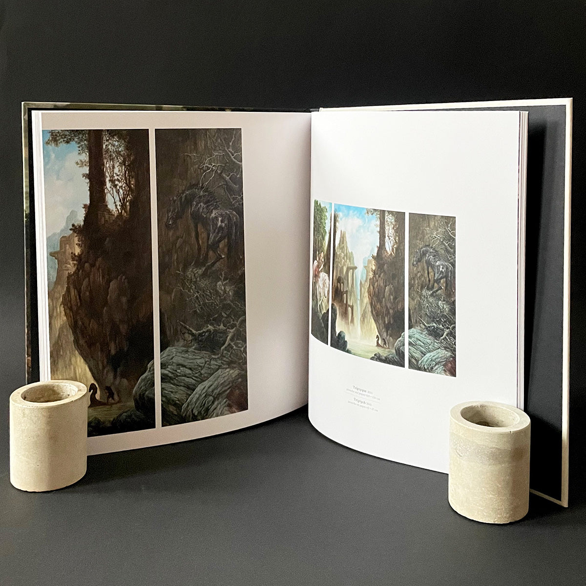 A Monograph - Julien Delval - Haus Nostromo