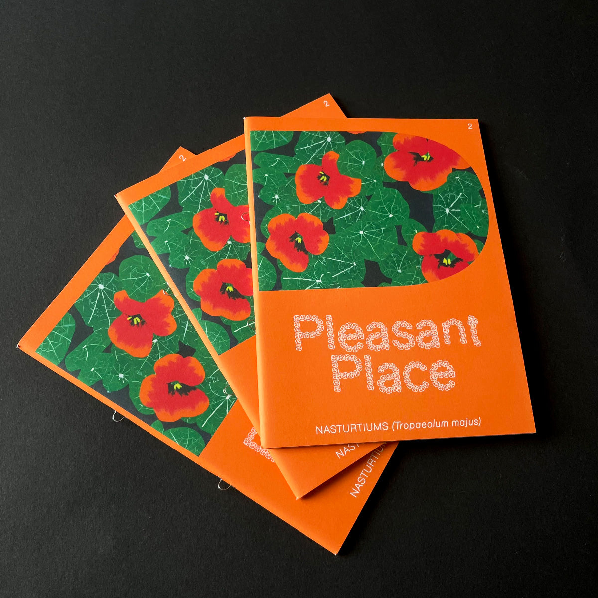 Pleasant Place Issue 2: Nasturtiums - Pleasant Place - Haus Nostromo