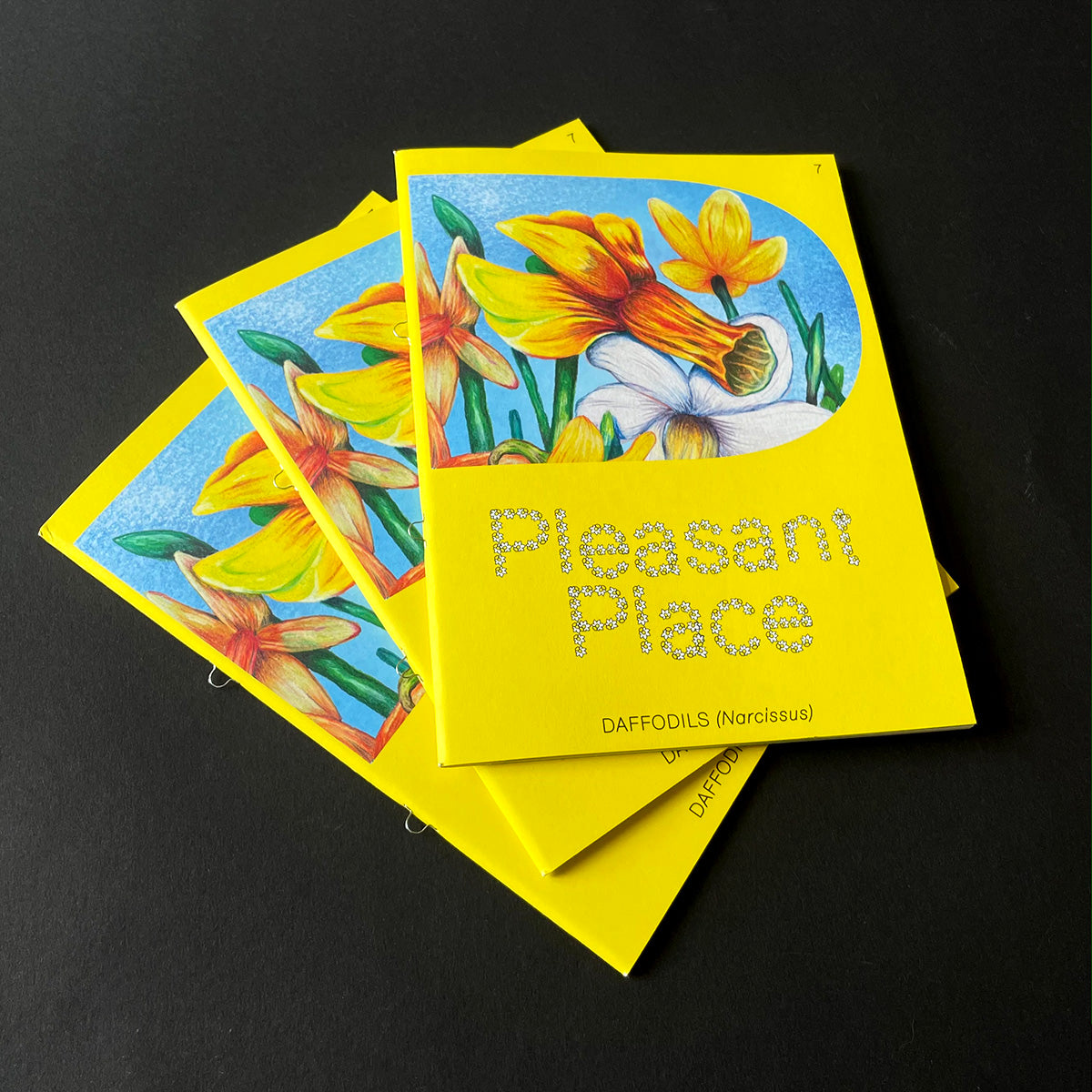 Pleasant Place Issue 7: Daffodils