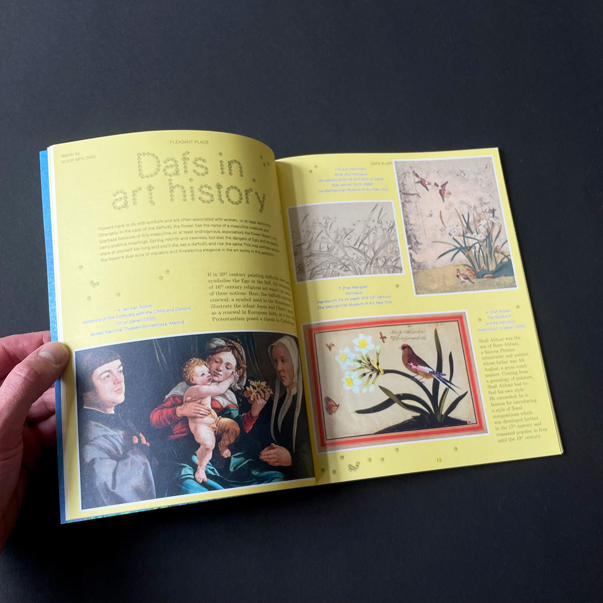 Pleasant Place Issue 7: Daffodils
