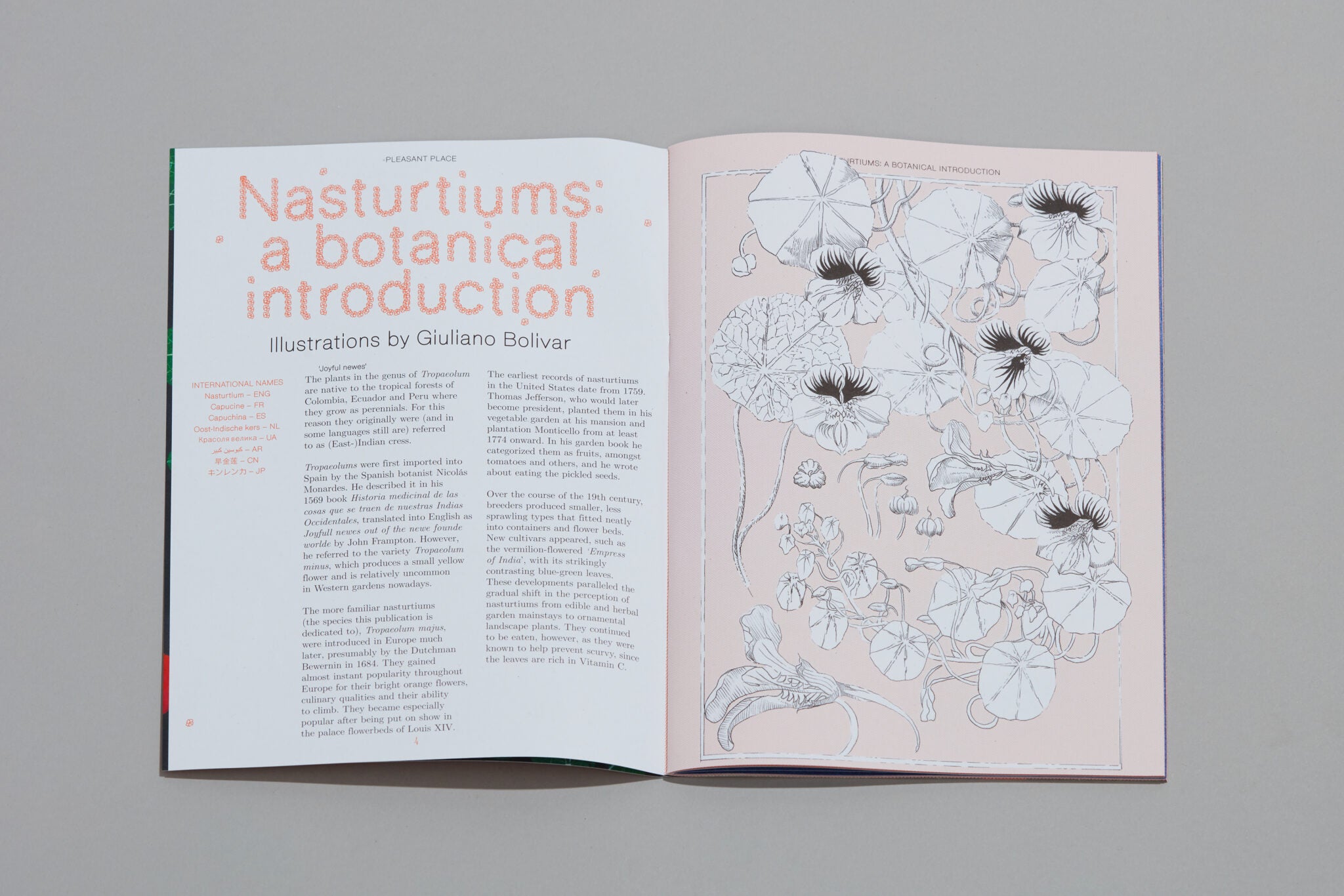 Pleasant Place Issue 2: Nasturtiums - Pleasant Place - Haus Nostromo