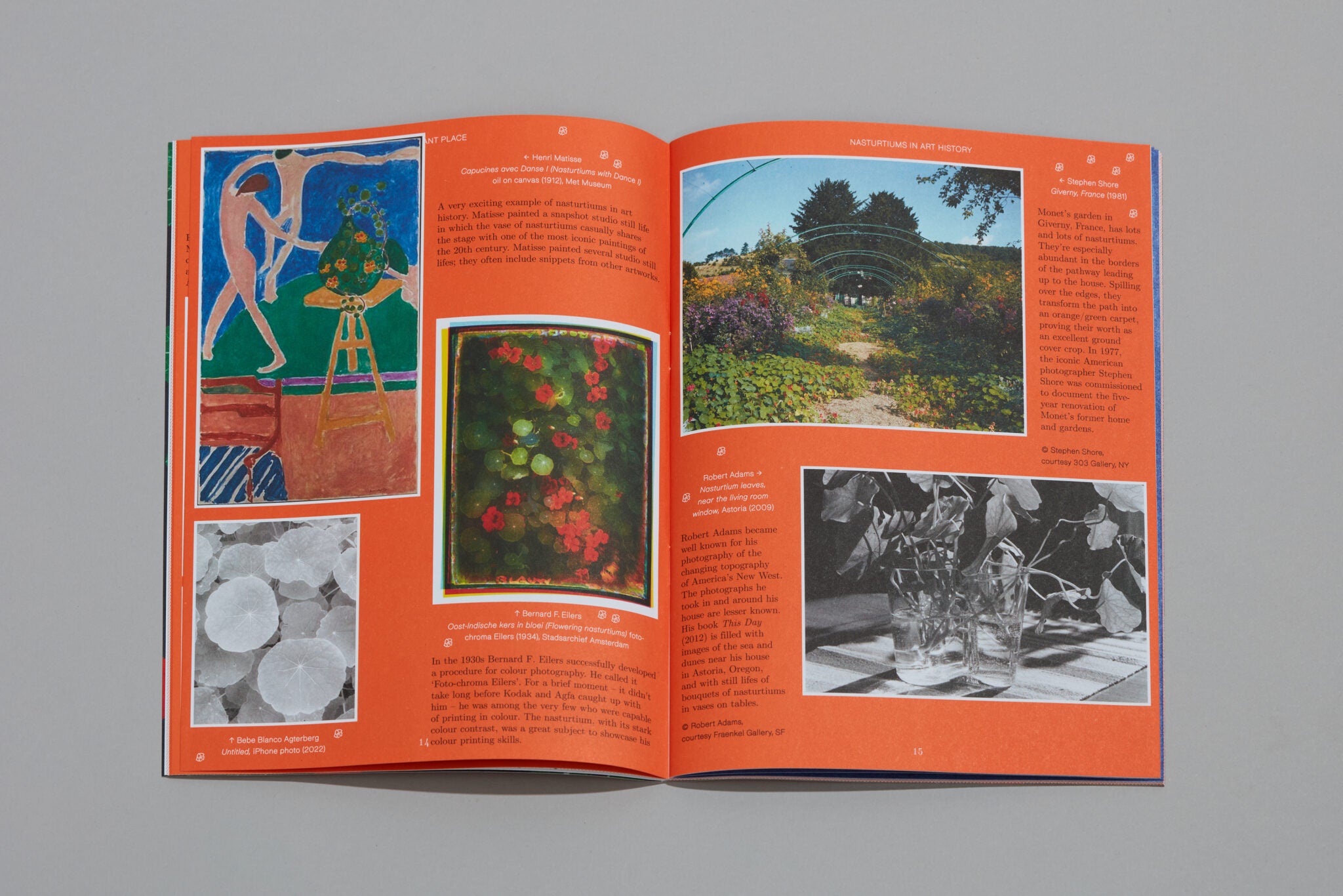 Pleasant Place Issue 2: Nasturtiums - Pleasant Place - Haus Nostromo