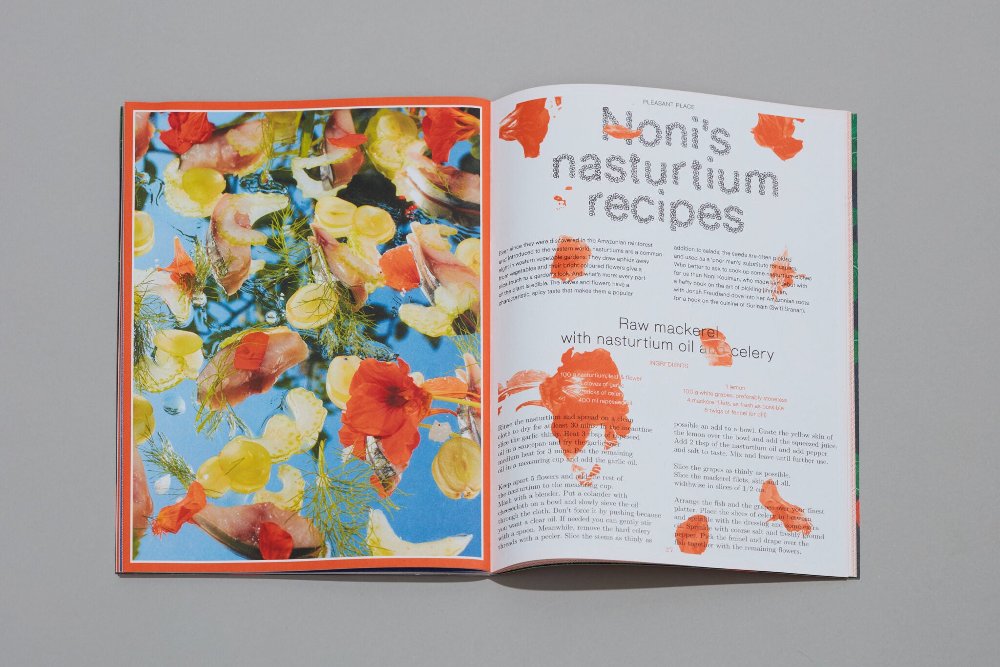 Pleasant Place Issue 2: Nasturtiums - Pleasant Place - Haus Nostromo