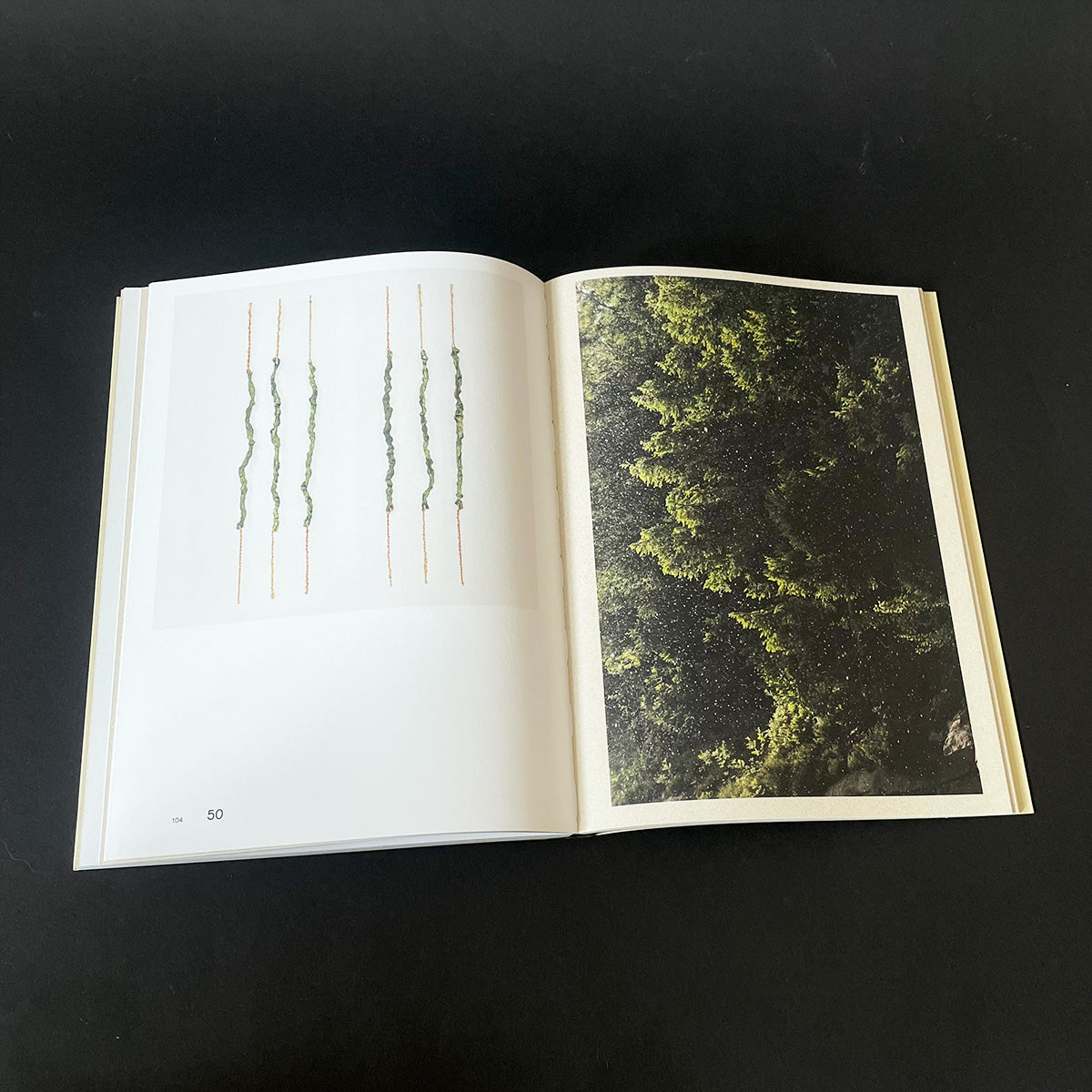 Sharing the Land — Notes on Nature - Sabina Timmermans - Haus Nostromo