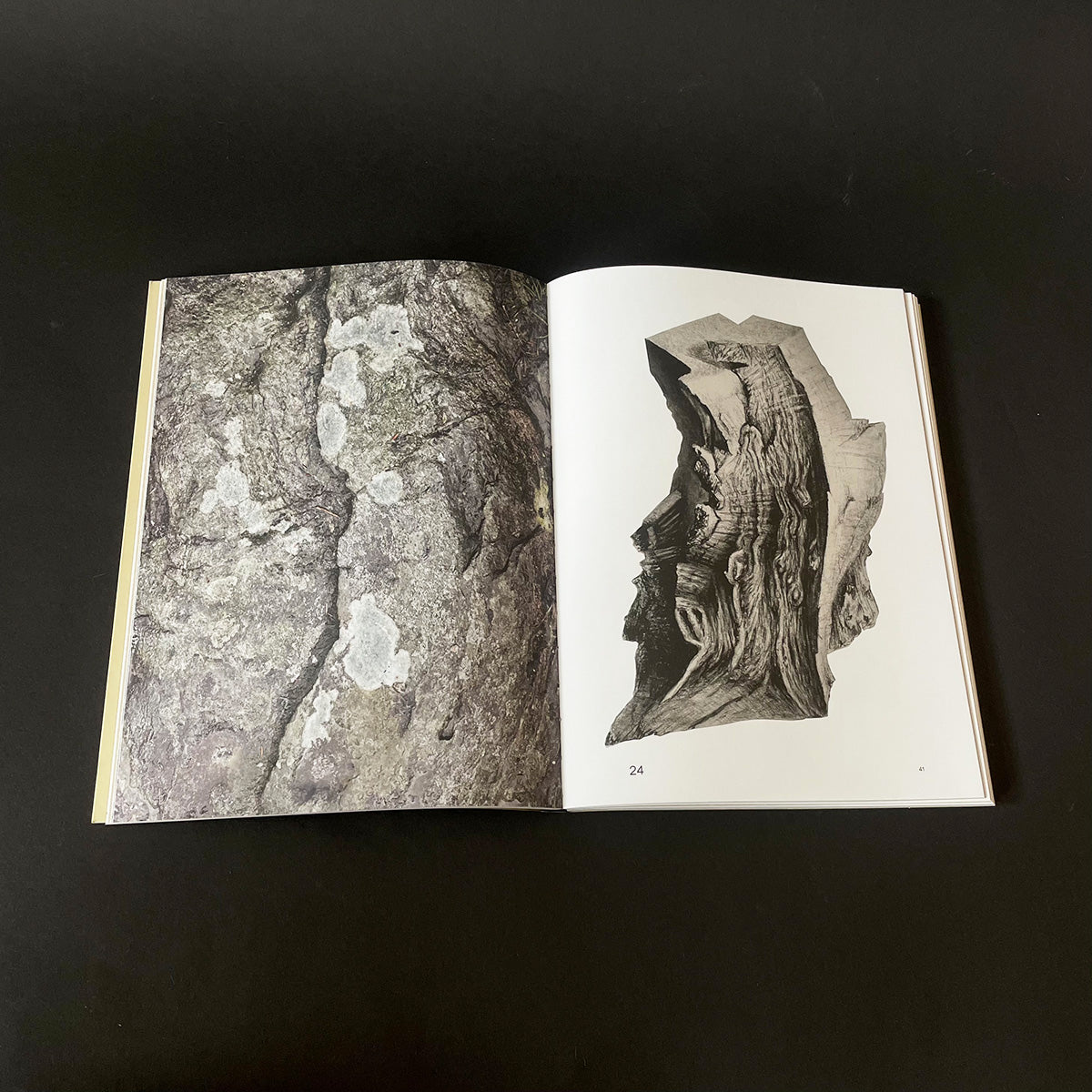 Sharing the Land — Notes on Nature - Sabina Timmermans - Haus Nostromo