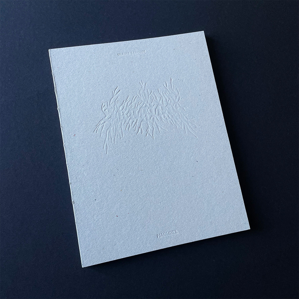 Skogtatt - Ulrike Serowy - Haus Nostromo