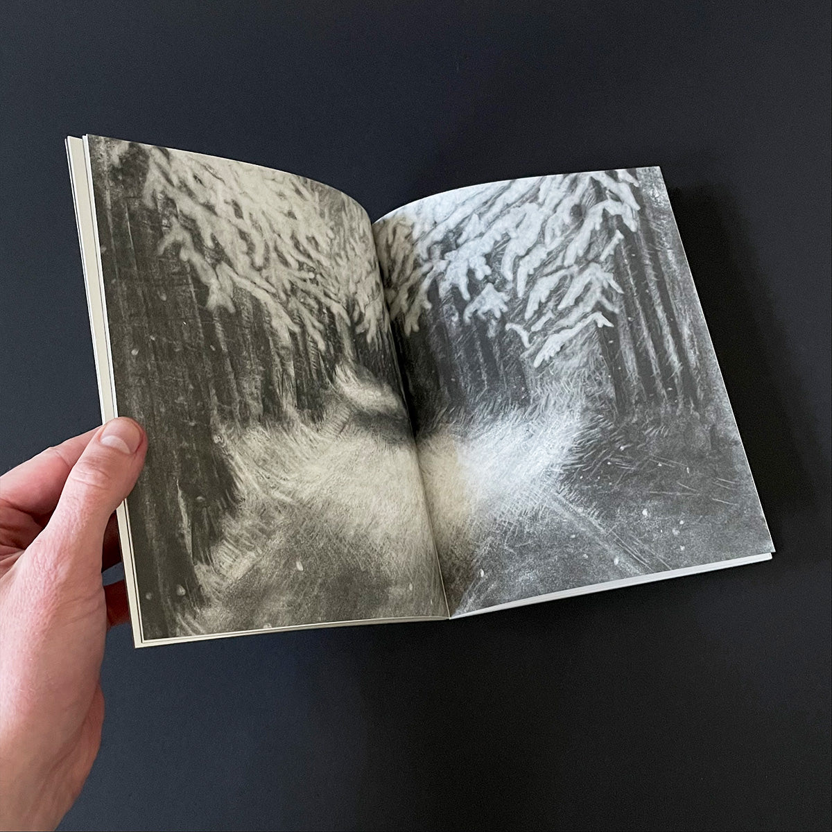 Skogtatt - Ulrike Serowy - Haus Nostromo