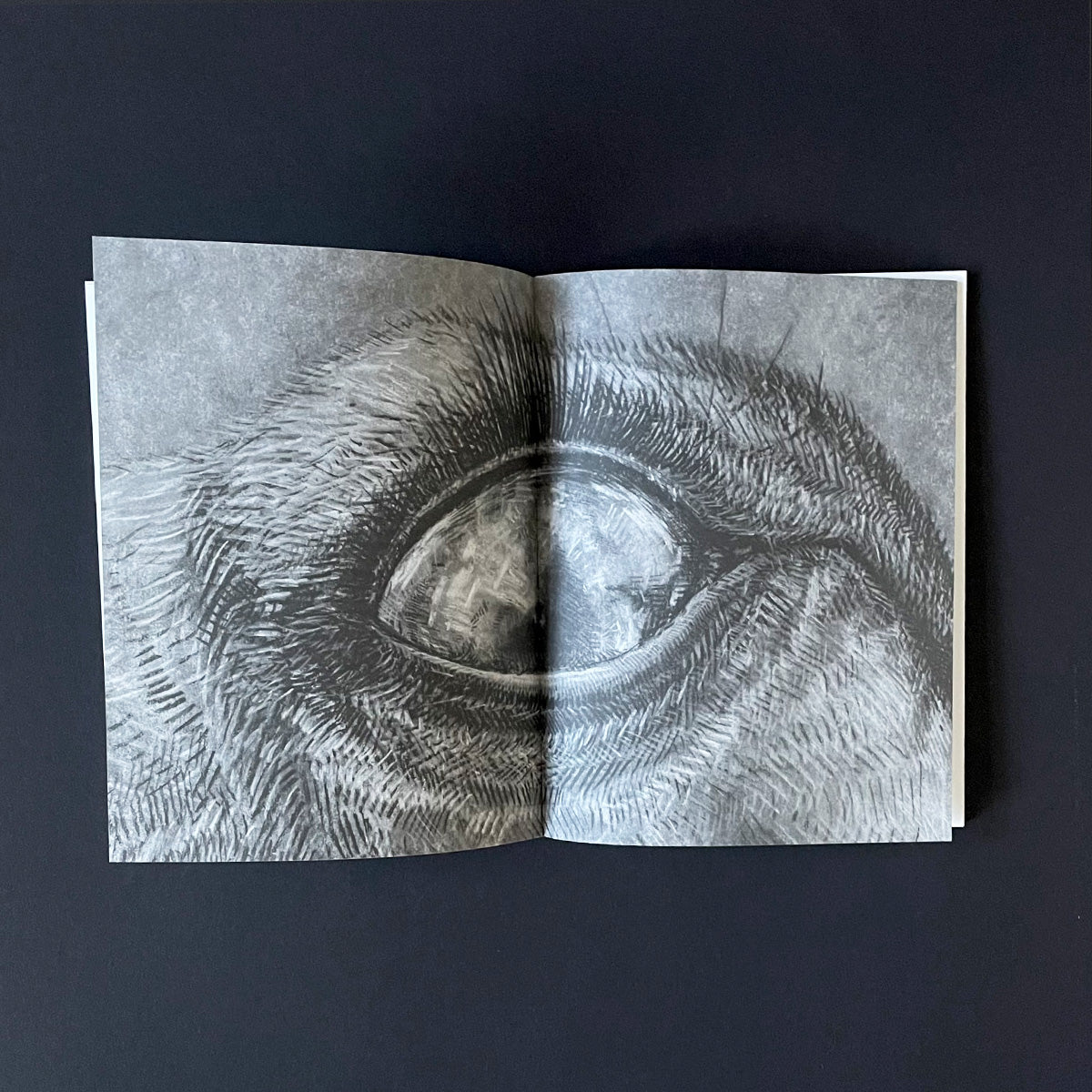 Skogtatt - Ulrike Serowy - Haus Nostromo