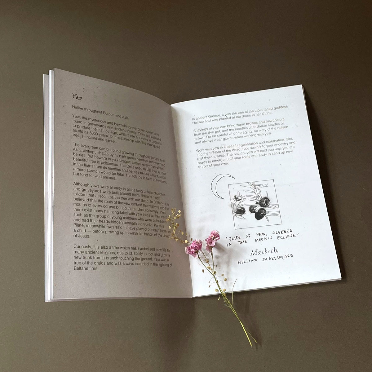 Slow Grown: Plants, Folklore and Natural Dyeing