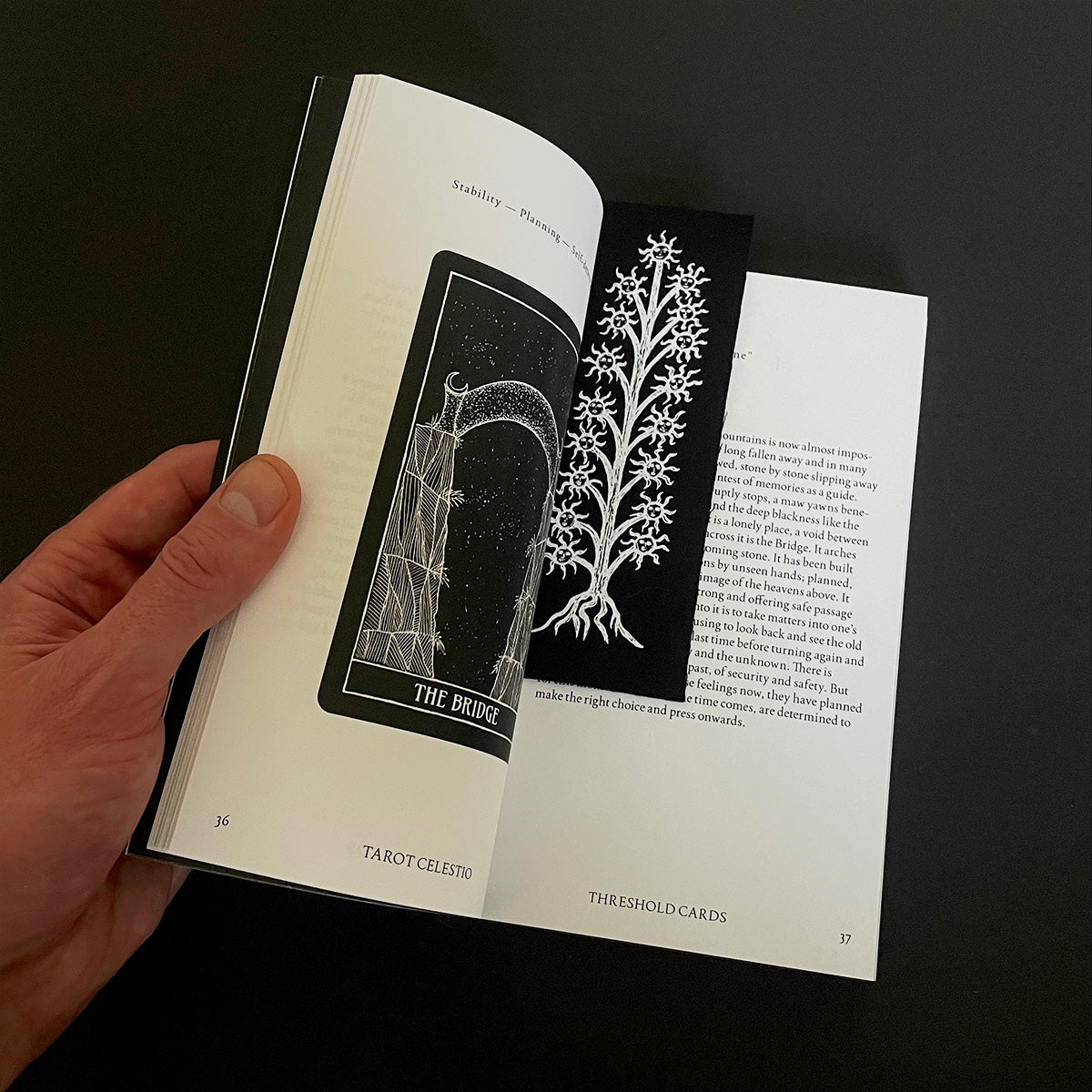 "Sun Plant" Cloth Bookmark/Patch - Haus Nostromo - Haus Nostromo