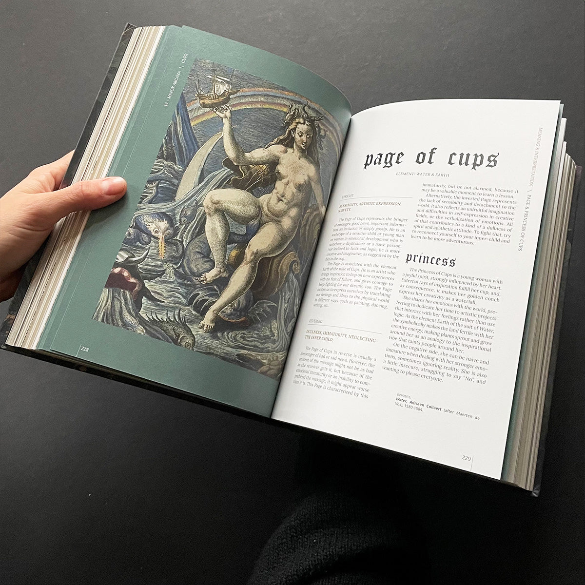 Terra Volatile Book - Credo quia Absurdum - Haus Nostromo