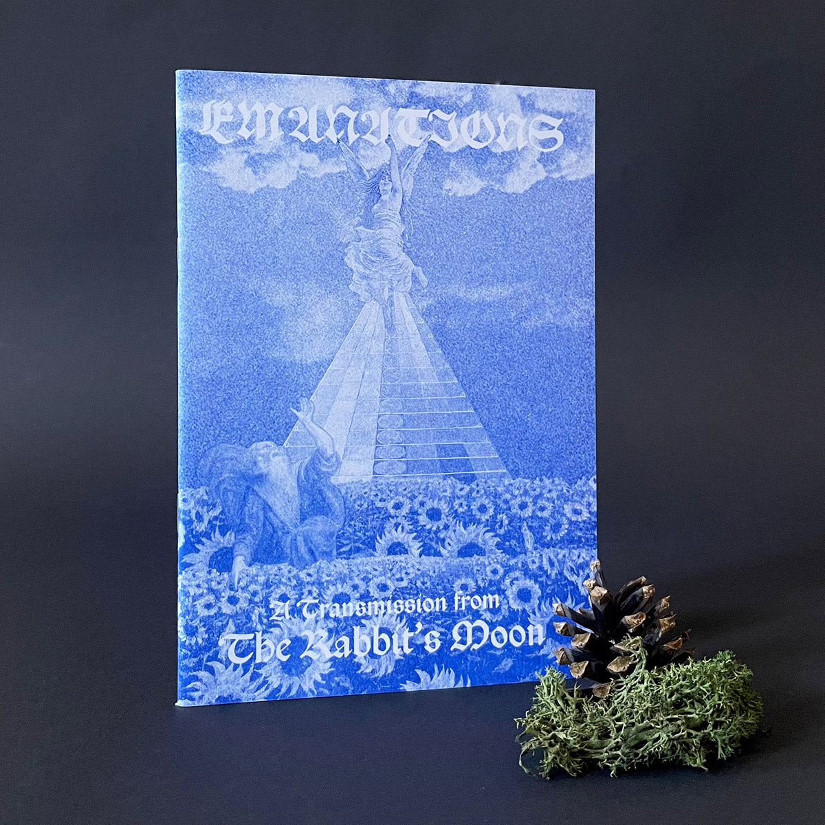 A blue Risograph printed journal titled 'Emanations' by Joel Banks & Daniel Reilly with a white tree illustration on the cover, placed on a dark background beside a small pine cone and moss.