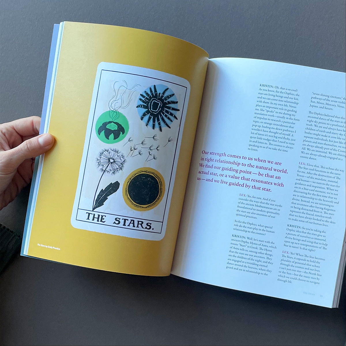 The Rebis: The Star Edition