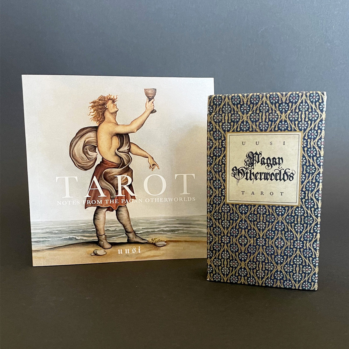 The image shows the Pagan Otherworlds Tarot deck and its accompanying book. The book features a figure in a decorative costume with a wine glass and the deck shows a patterned background.