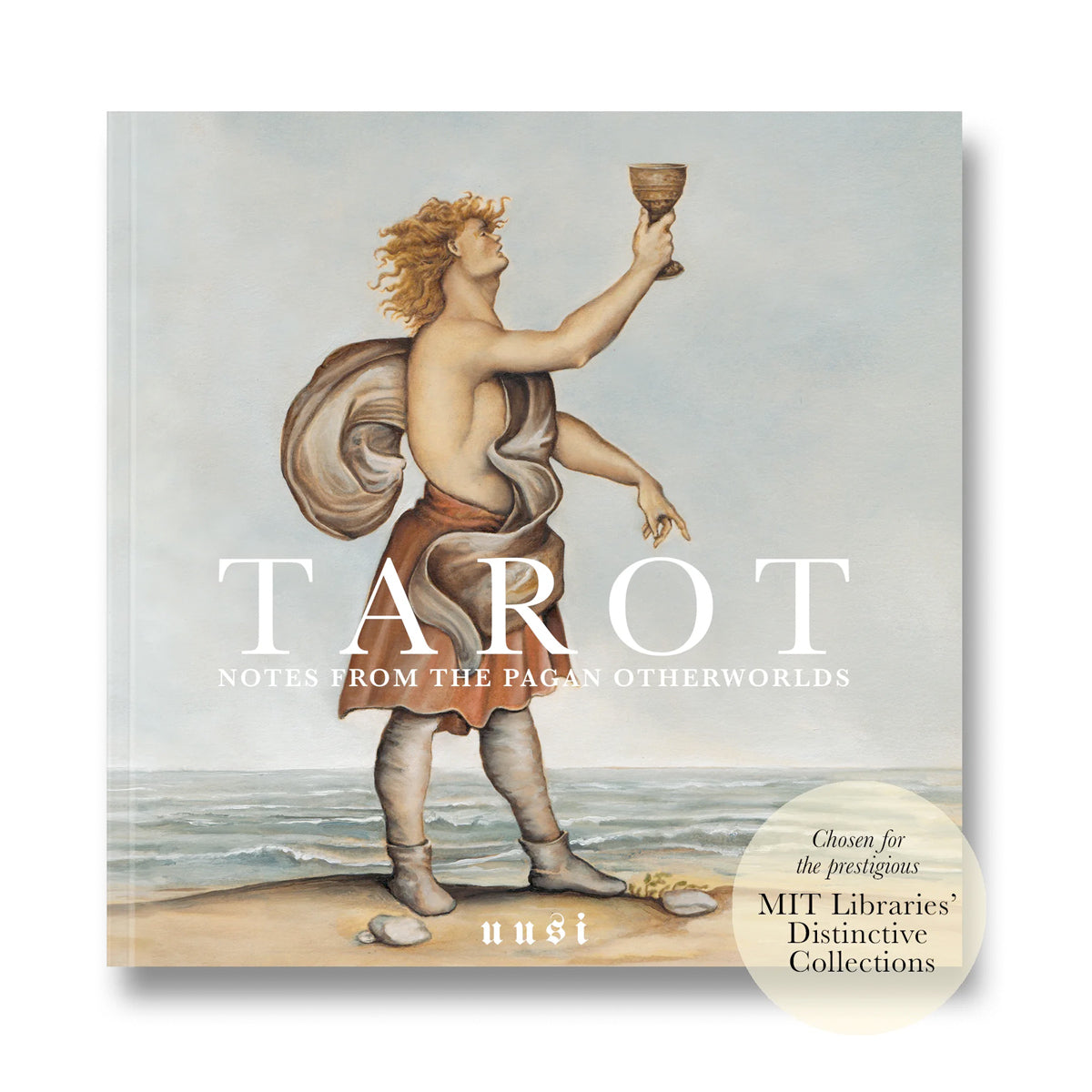 Pagan Otherworlds Tarot And Book