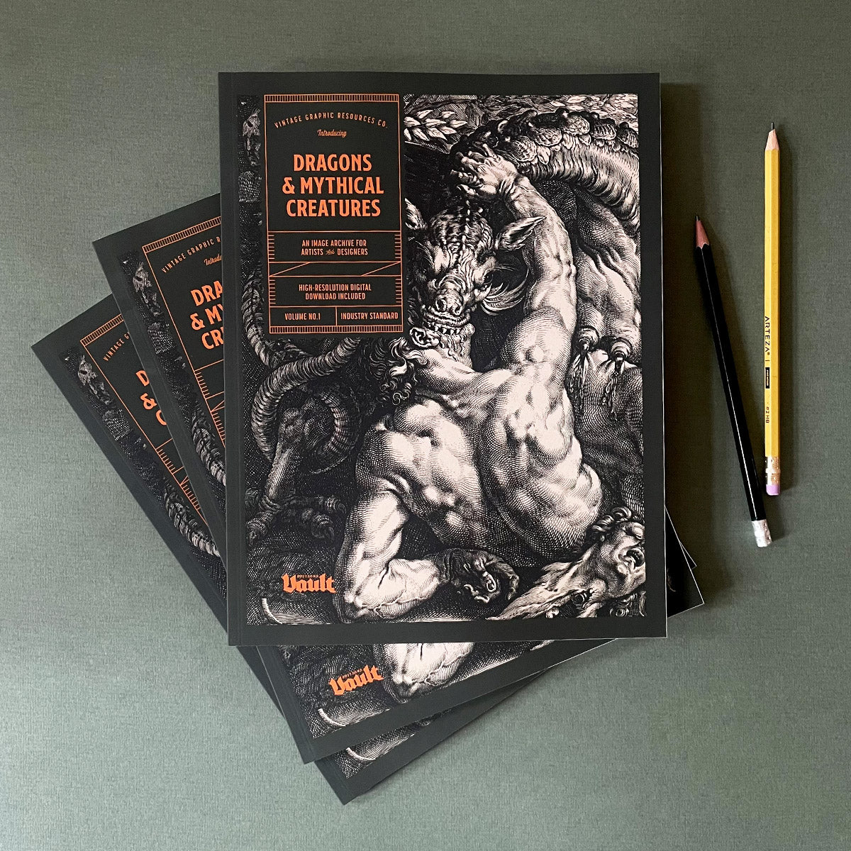 Stylized book cover with a dragon illustration on a gray background