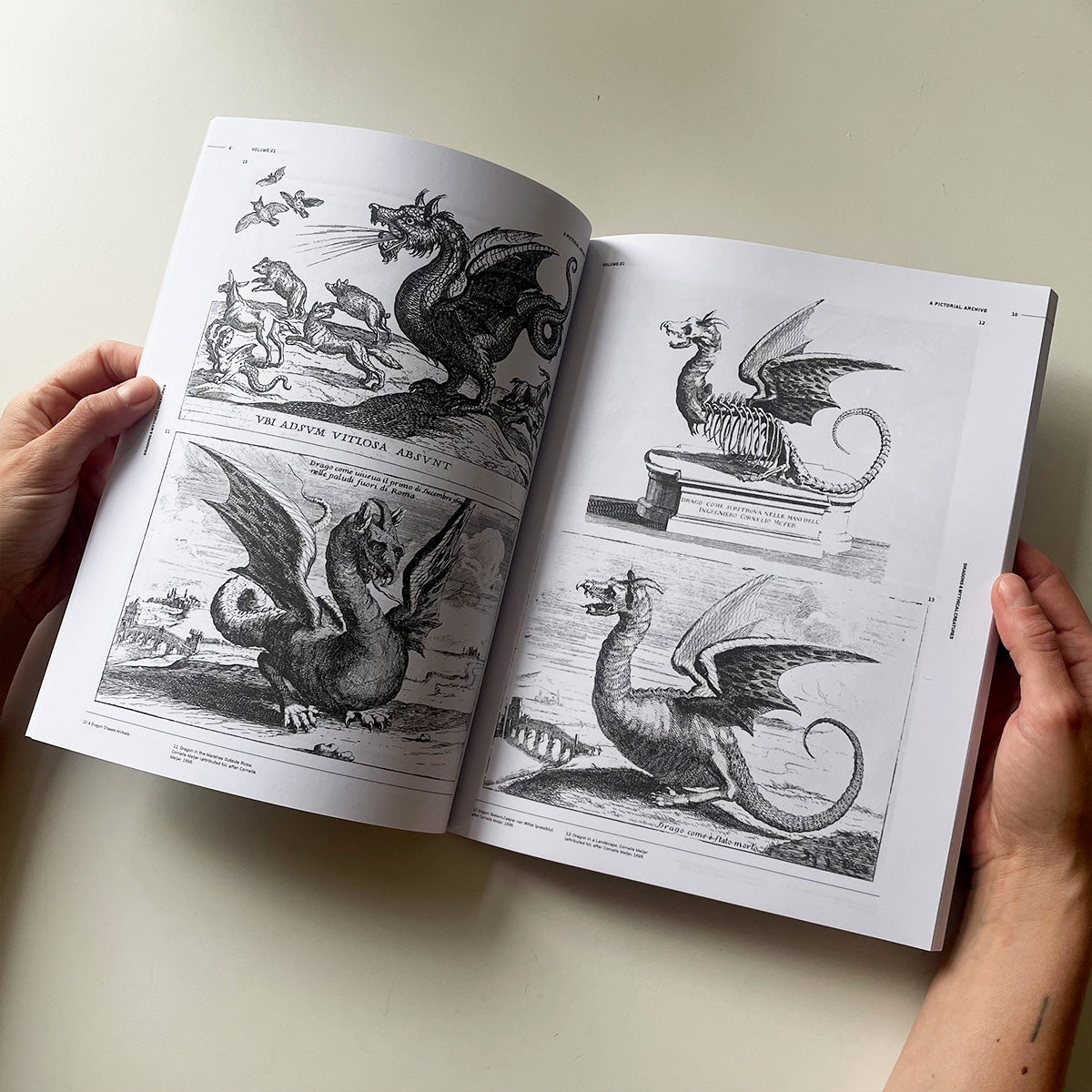 Open book displaying illustrations of dragons and other mythical creatures on a light background.