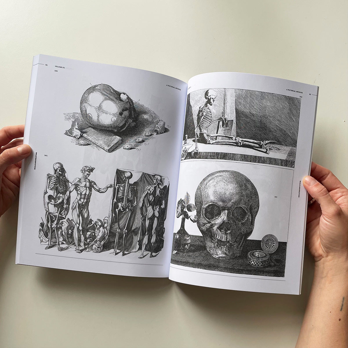 Skulls & Skeletons - Vault Editions - Haus Nostromo