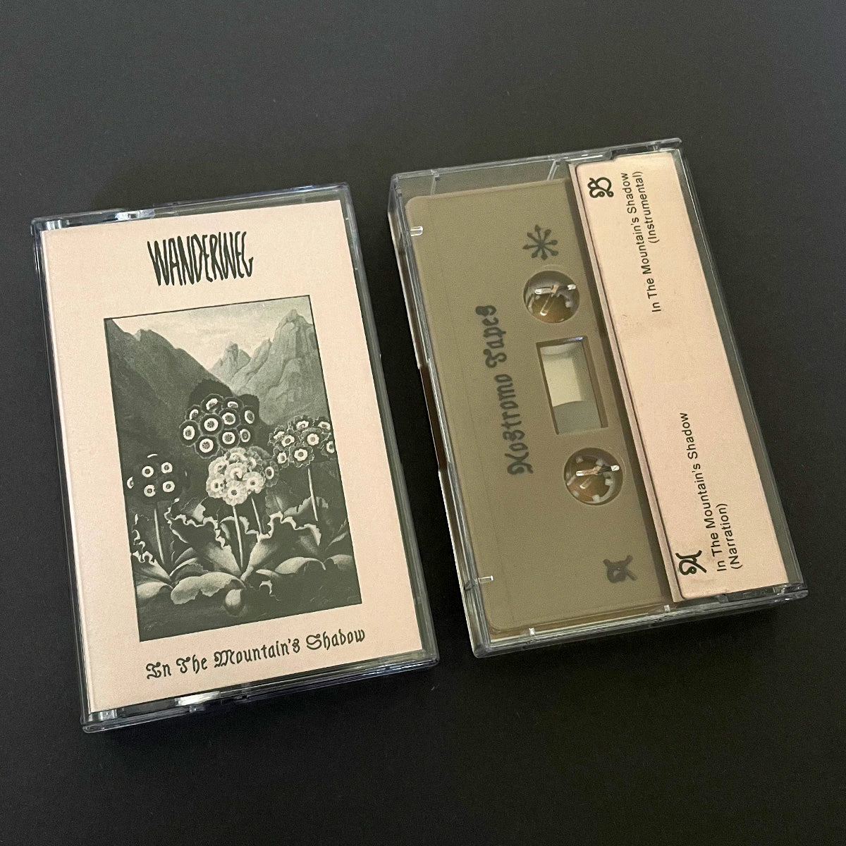 In The Mountain's Shadow Cassette Tape - Wanderweg Zine - Haus Nostromo