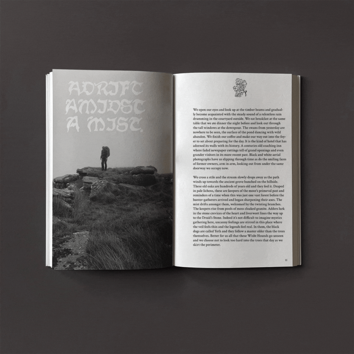Wanderweg Issue 1 - Wanderweg Zine - Haus Nostromo