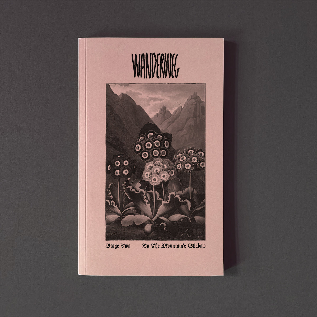 Magazine titled 'Wanderweg' with mountain and flower illustration on a dark background