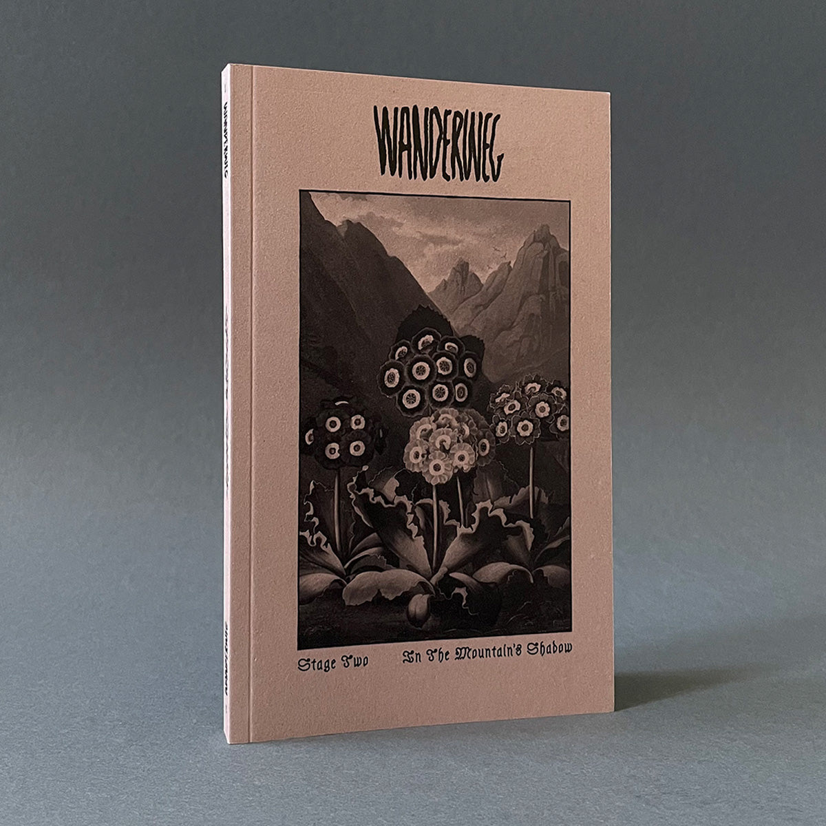 Wanderweg Issue 2 - Wanderweg Zine - Haus Nostromo