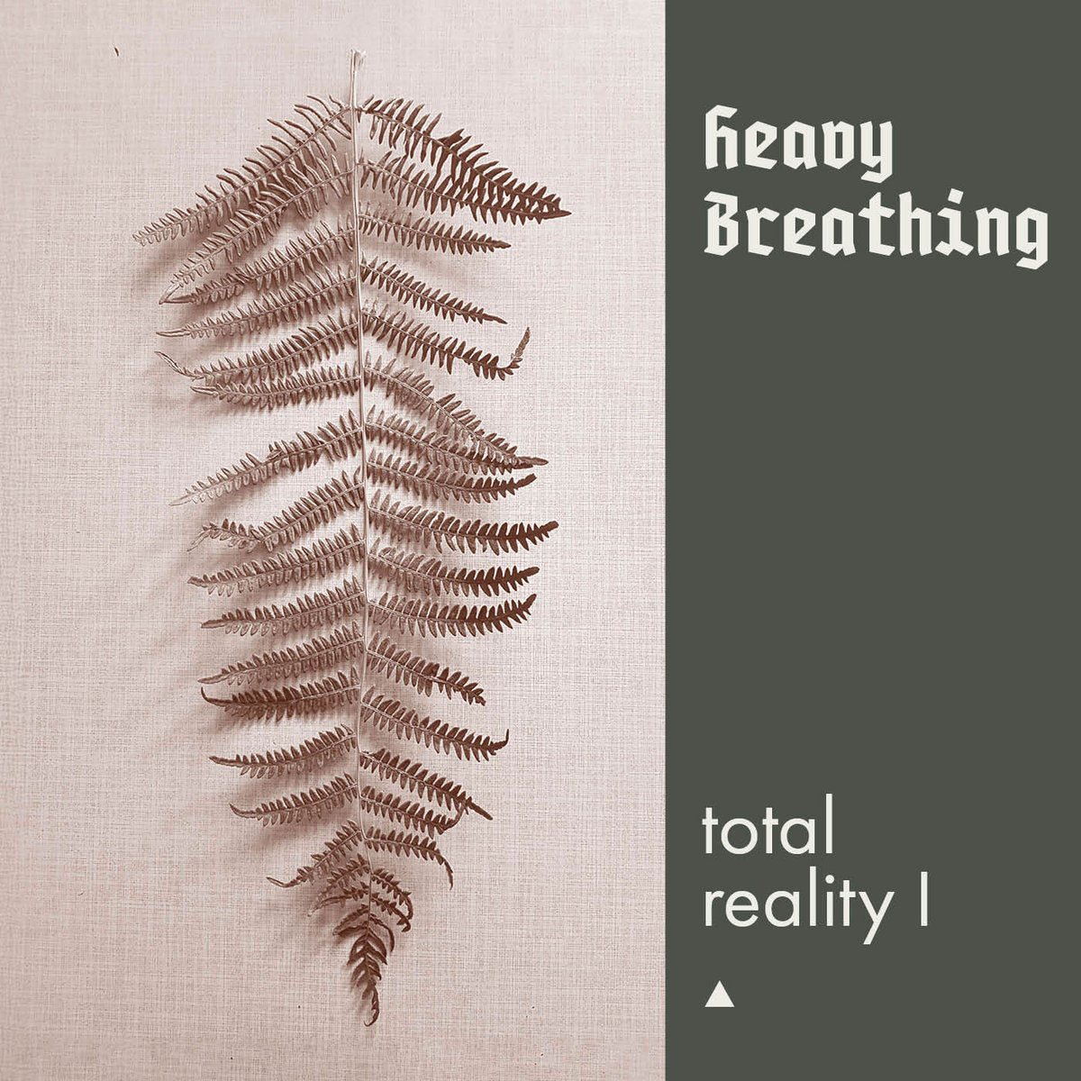 total reality I Cassette - Heavy Breathing - Haus Nostromo