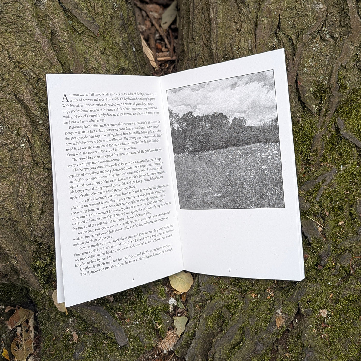 Tales From the Ryngwoode Issue 1: The Knight Of Ivy
