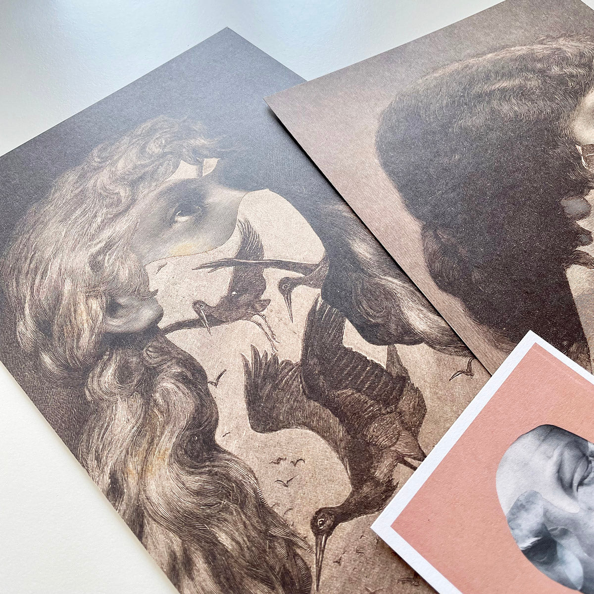 Limited Edition "Birds of Memory" Art Print Series - øjeRum - Haus Nostromo