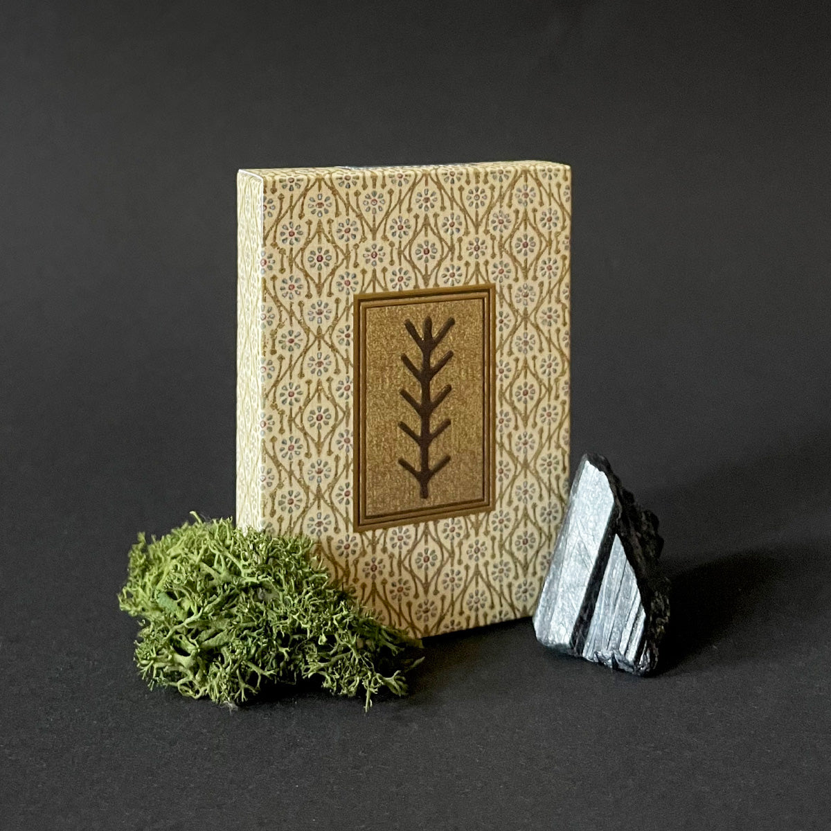 Decorative box of Pagan Playing Cards, accompanied by greenery and a rock on a dark background