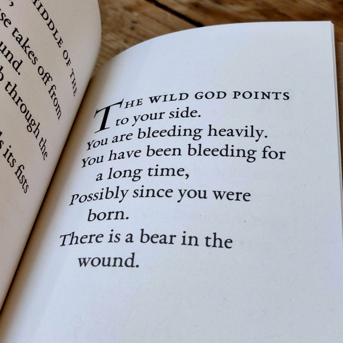 Sometimes A Wild God