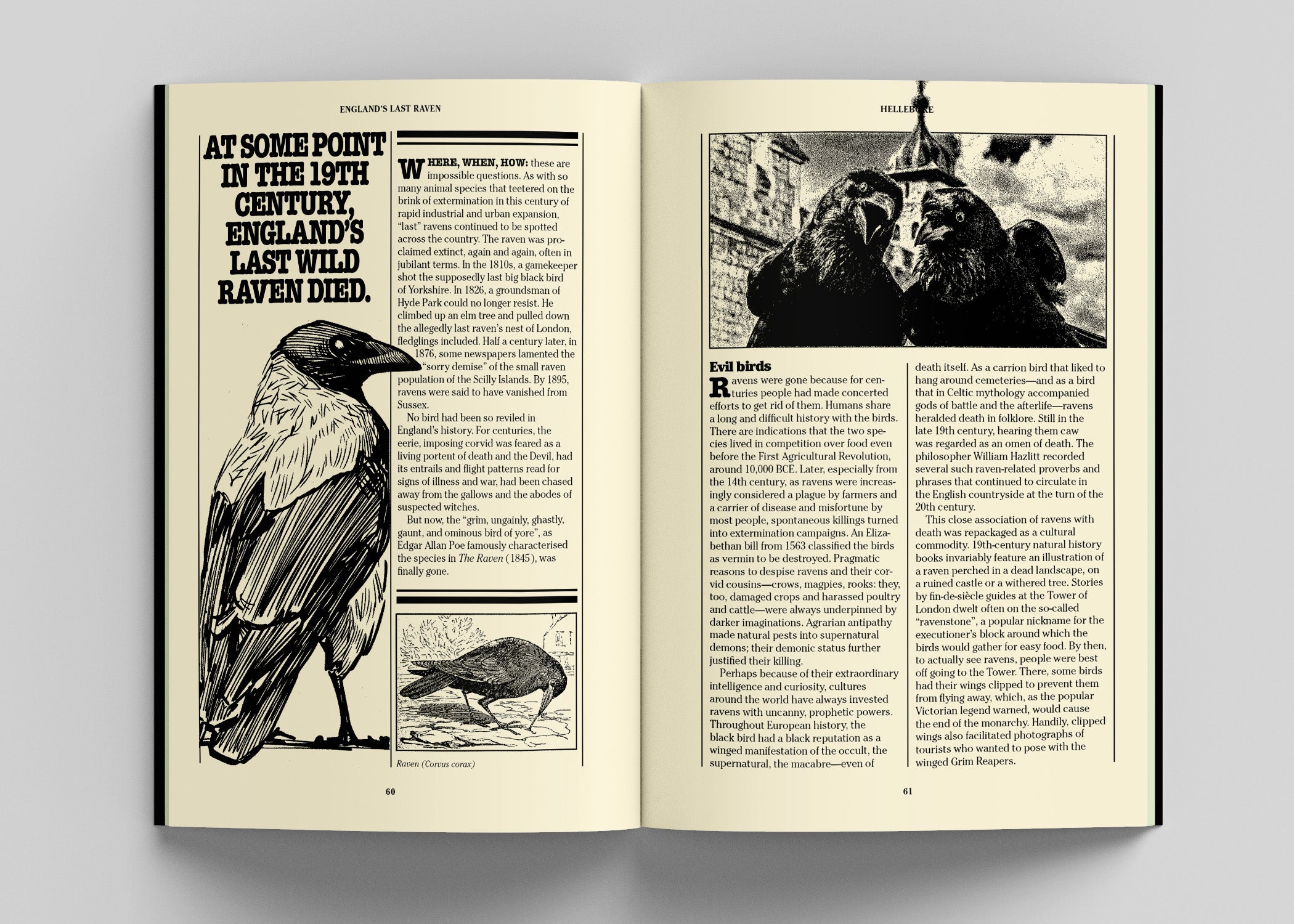 Hellebore Issue 11: The Animal Issue - Hellebore - Haus Nostromo