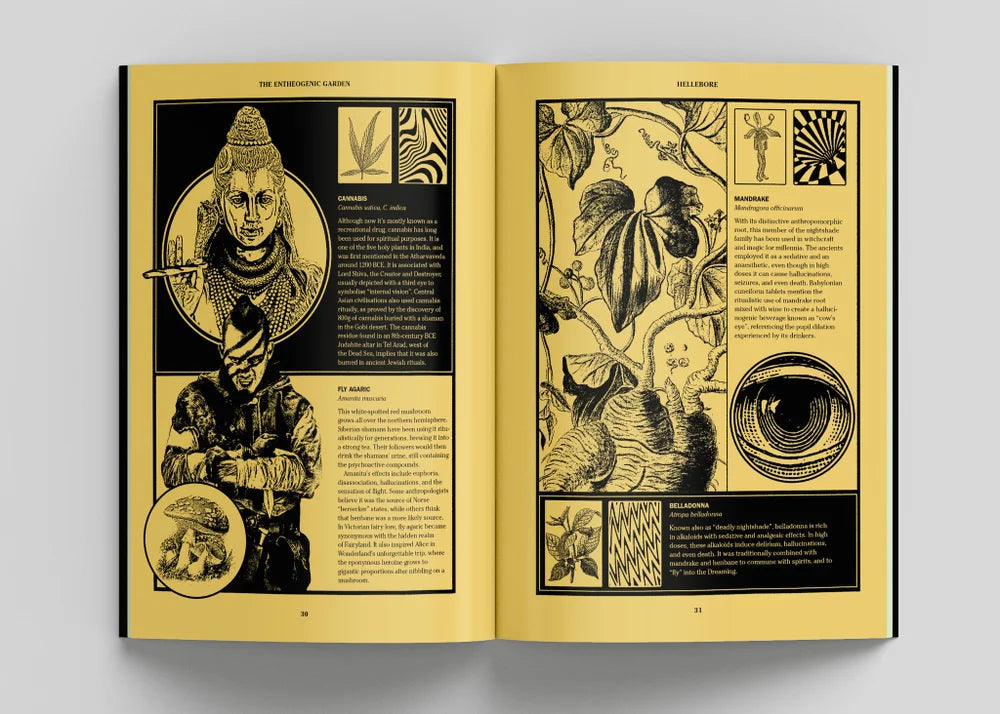 Hellebore Issue 8: The Unveiling Issue - Hellebore - Haus Nostromo